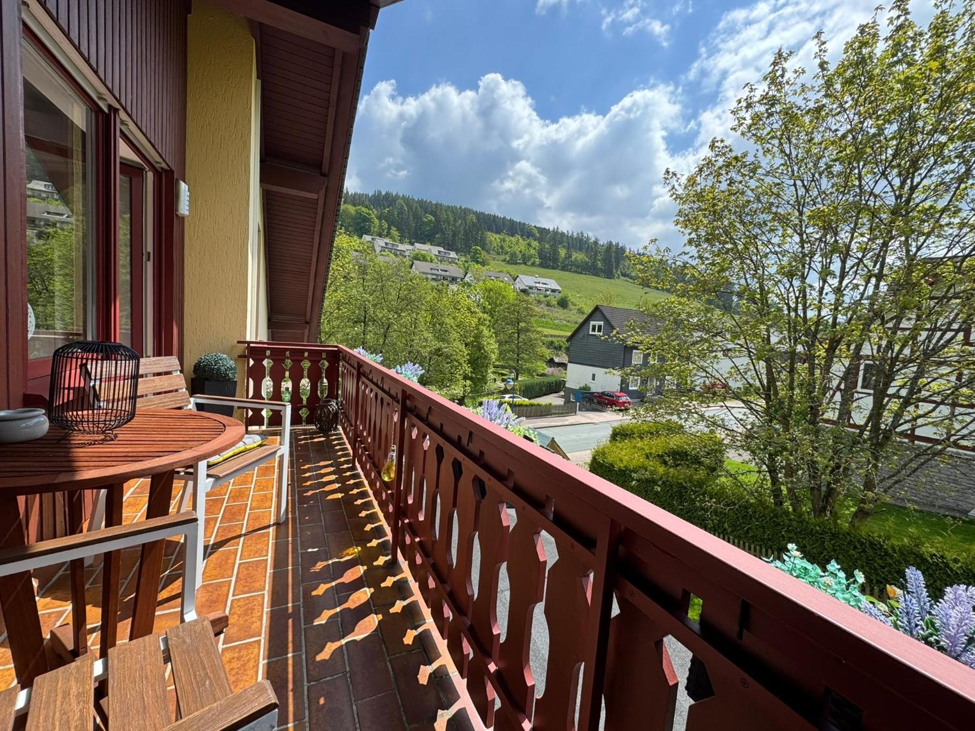 Ferienwohnung Sonnentraum - Appartement 5 Willingen Willingen  Exteriér fotografie