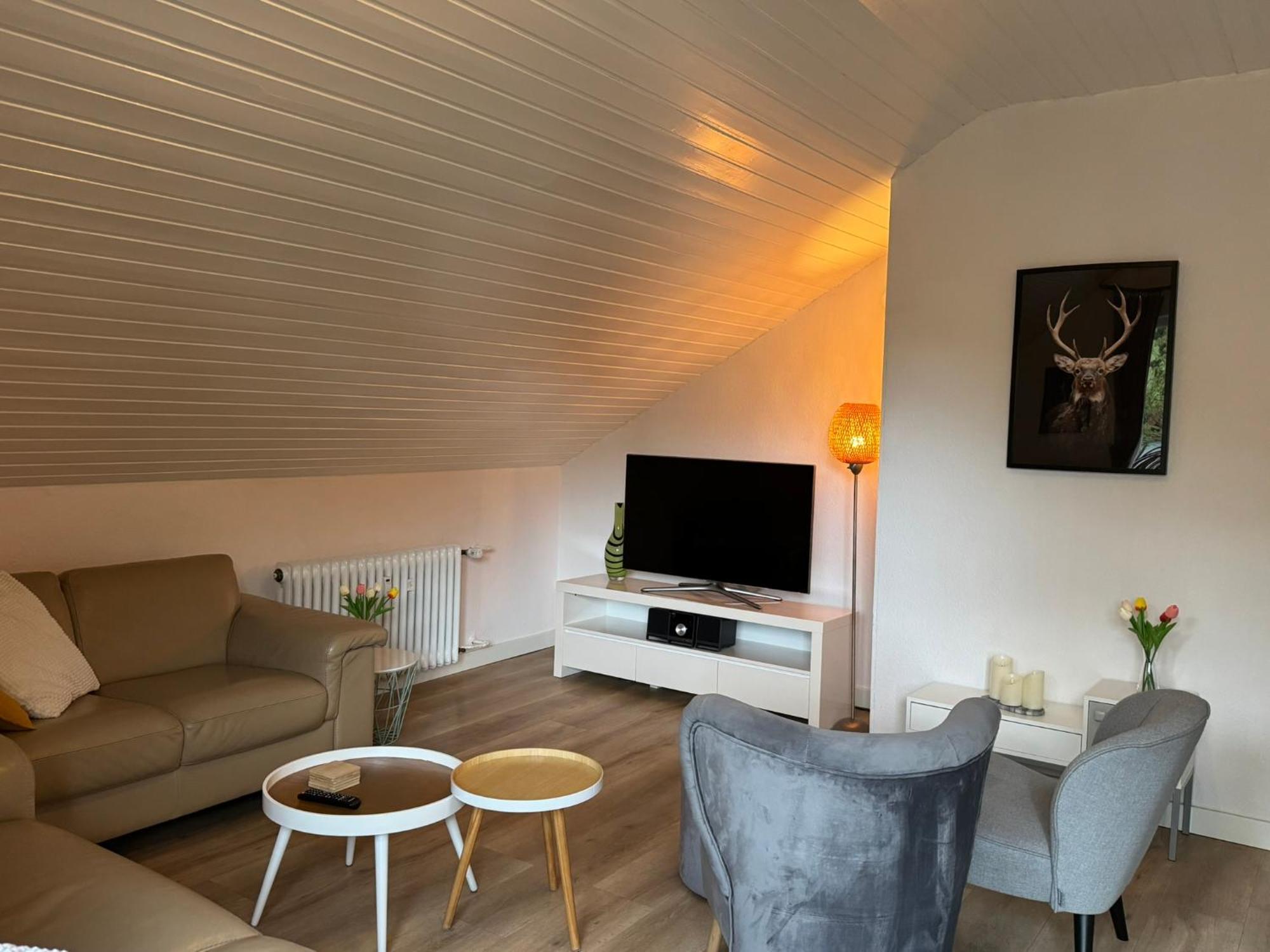 Ferienwohnung Sonnentraum - Appartement 5 Willingen Willingen  Exteriér fotografie
